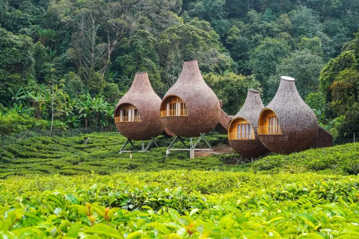 Lokasi Wisata di Bogor: Pilihan Terbaik untuk Liburan