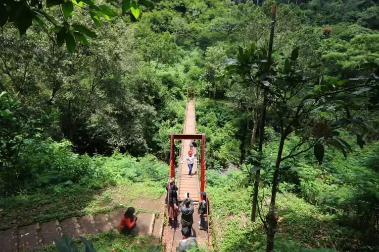 Eksplorasi Seru di Taman Hutan Raya Djuanda