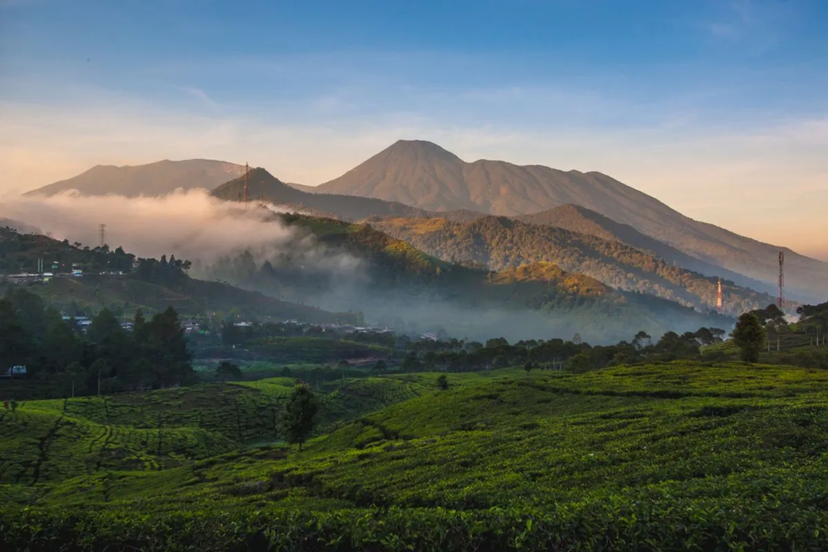 Menjelajah Keindahan Gunung Gede