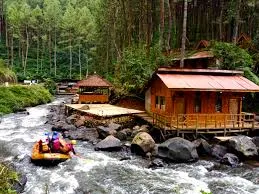 Pineus Tilu Riverside Glamping
