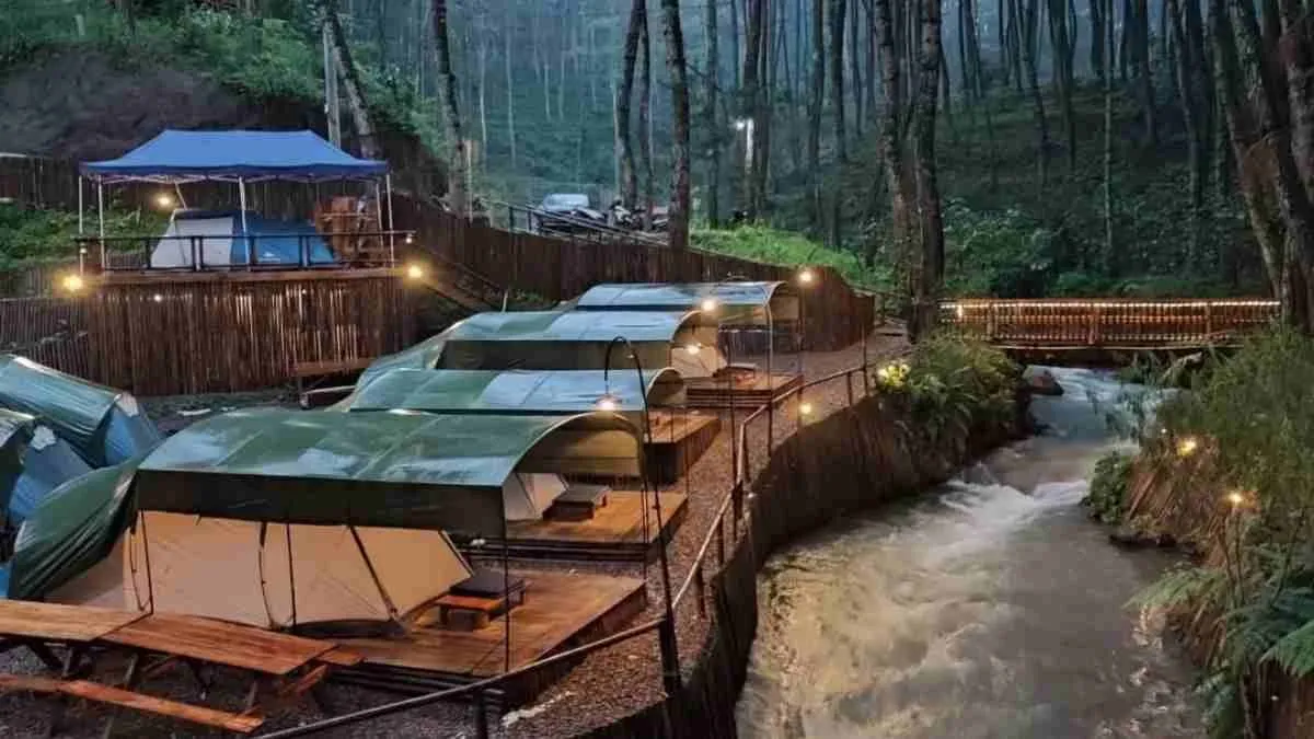 Glamping di Hutan Pinus Rahong Pangalengan