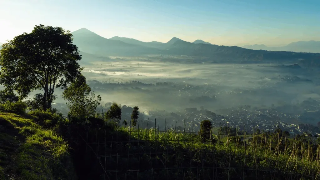 capacity building bandung