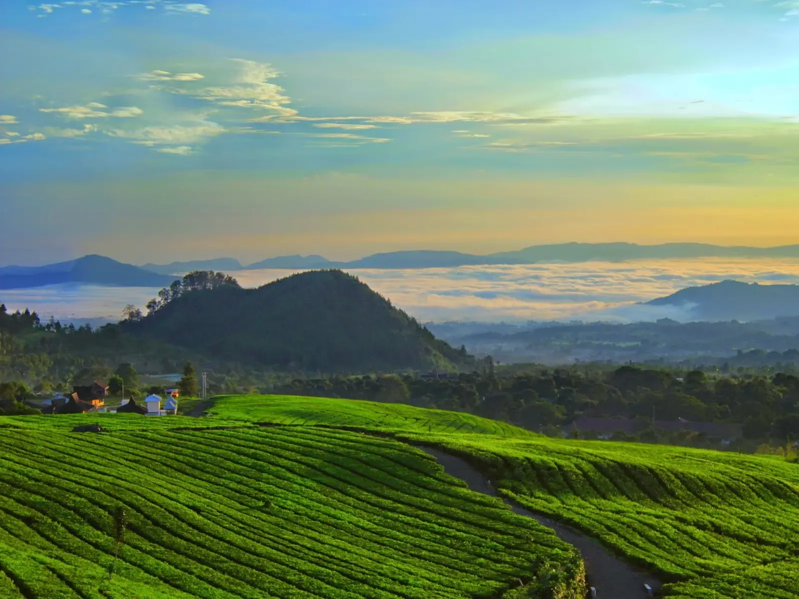 Wisata Alam dan Perkebunan Teh di Ciater