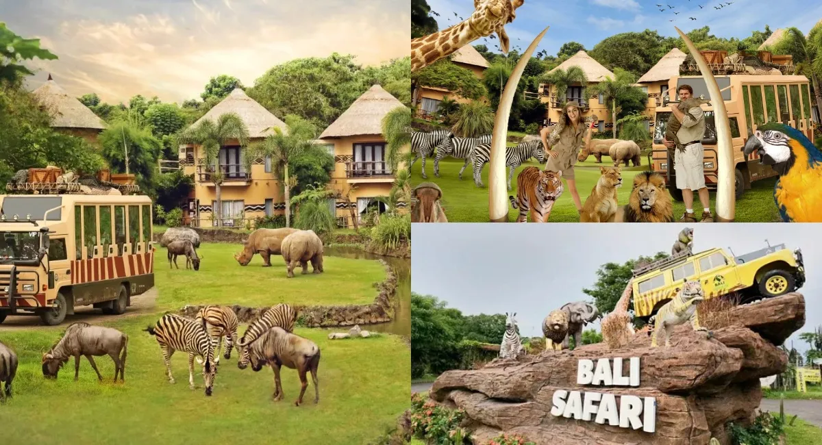 Taman Safari Bogor vs Taman Safari Bali
