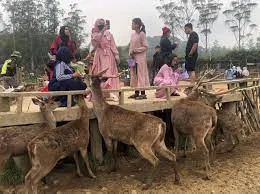 Checklist Penting Sebelum Gathering Perusahaan