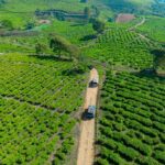 fun offroad pangalengan kebun teh